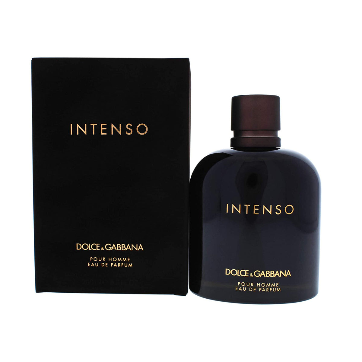 DOLCE GABBANA Intenso Men EDP 125ml – Shahalami.pk